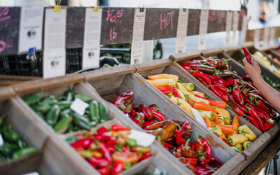 Talking about blogging…